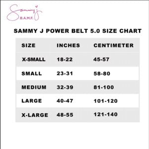 Body Shaper Belt Shapewear Corset Compression Womenswear - Debsline.co  -  