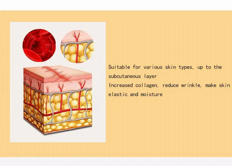 Illustration of skin layers with text on a beige background