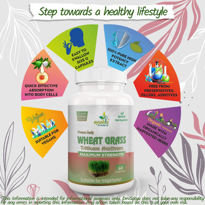 Wheat Grass Capsule-4