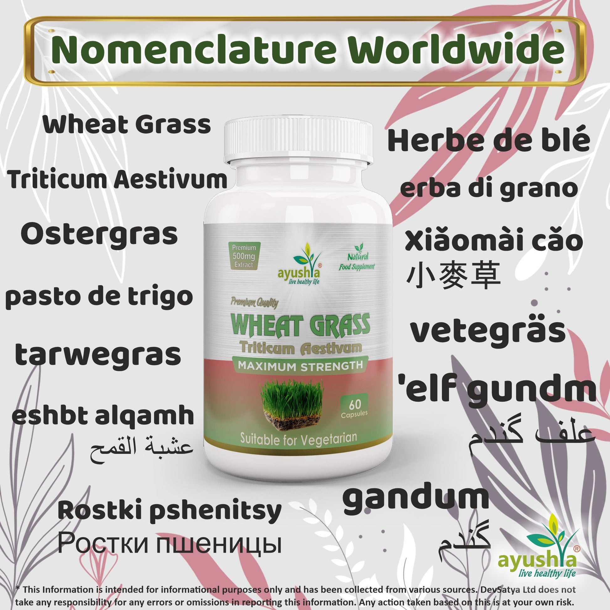 Wheat Grass Capsule-2