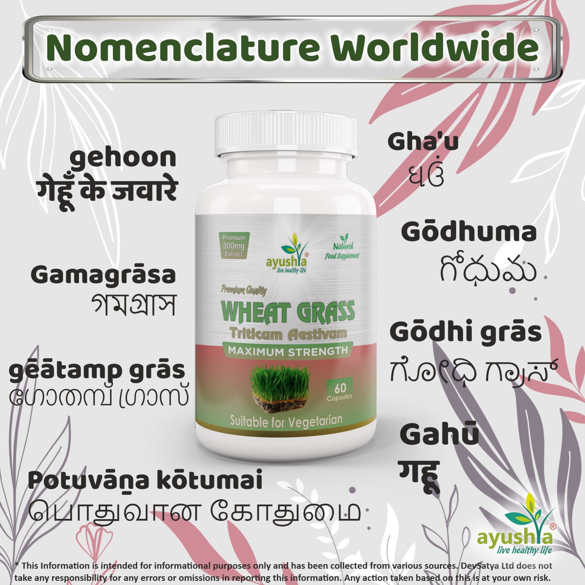 Wheat Grass Capsule-3